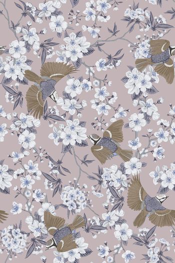 1440772-花卉20050-2