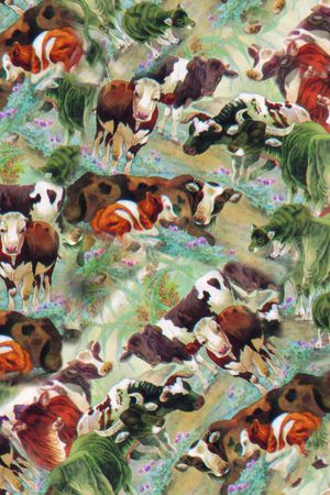 动物印花华亿平台图片