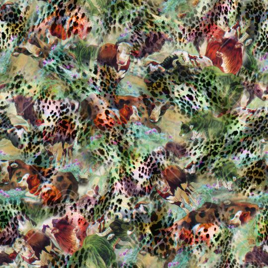 豹纹印花华亿平台图片