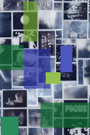 大牌风印花华亿平台图片