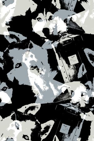 动物印花华亿平台图片