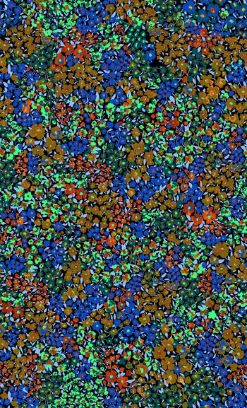 数码华亿平台印花华亿平台图片