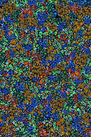 数码华亿平台印花华亿平台图片