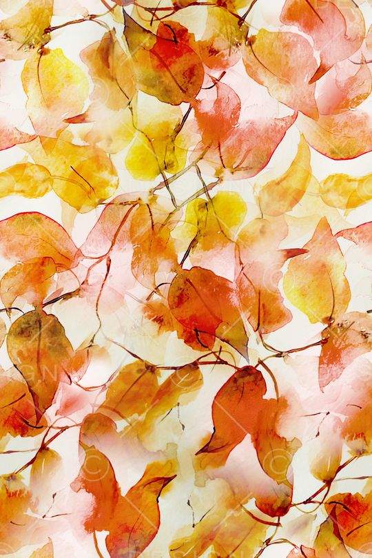 绿植树叶印花华亿平台图片