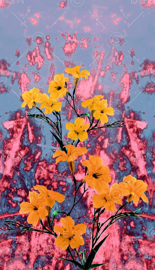 线条印花华亿平台图片