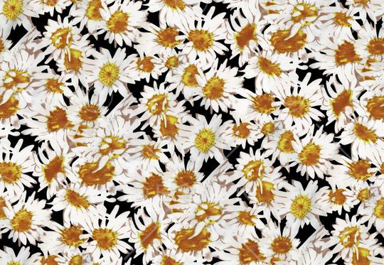 传统纹样印花华亿平台图片