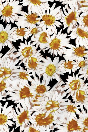 传统纹样印花华亿平台图片