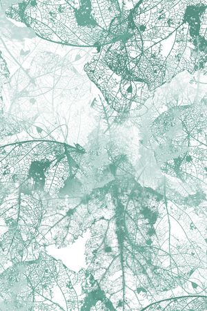 绿植树叶印花华亿平台图片