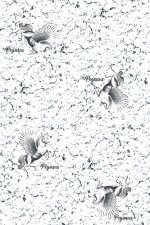 翅膀印花华亿平台图片