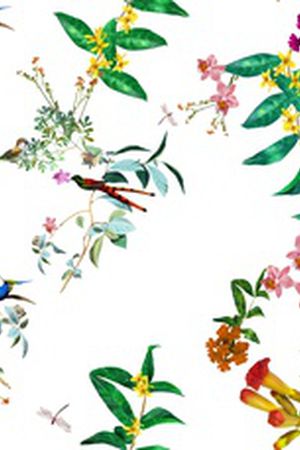 鸟印花华亿平台图片