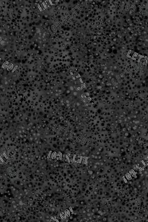 字母印花华亿平台图片