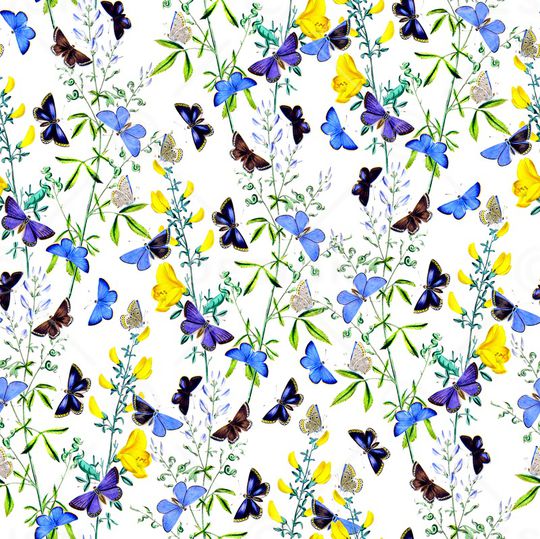 花卉蝴蝶印花华亿平台图片