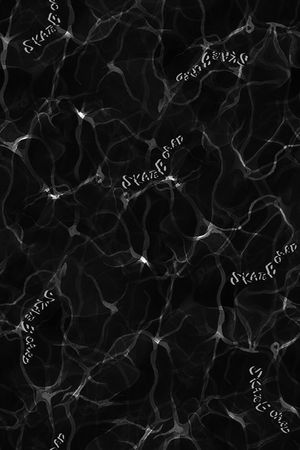 字母印花华亿平台图片