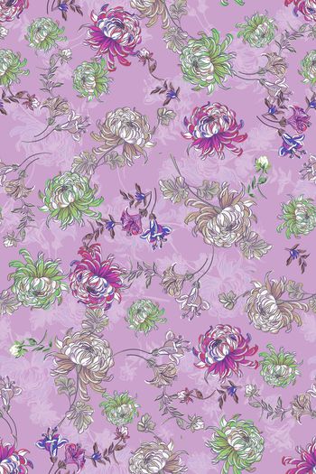 1443119-花卉20051-2