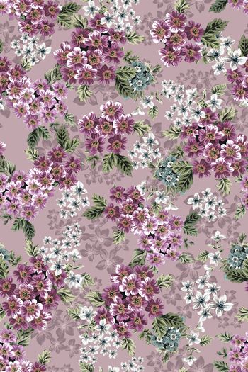 1443122-花卉20052-2