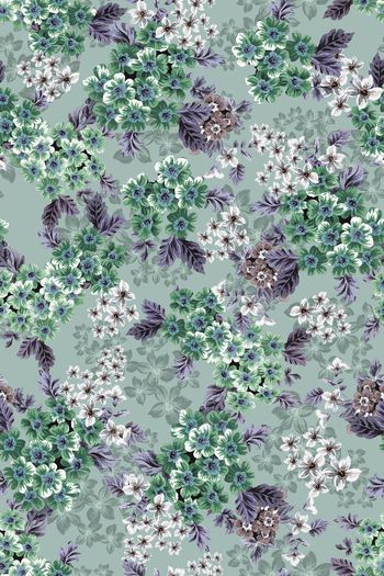 1443124-花卉20052-4