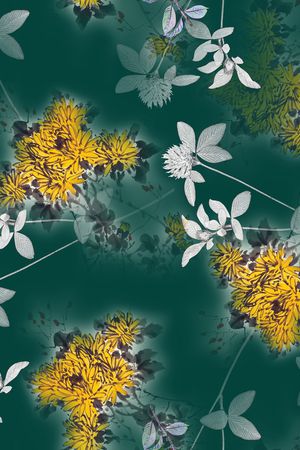 连衣裙印花华亿平台图片