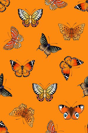 蝴蝶印花华亿平台图片