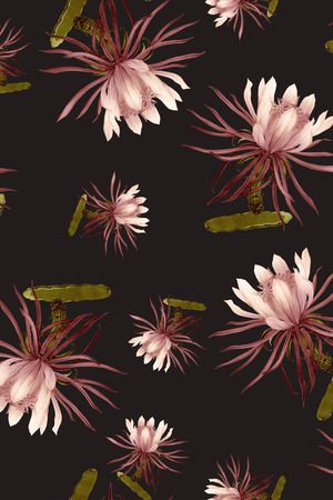 Erdem印花华亿平台图片