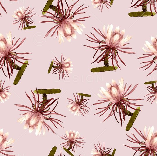 玫瑰花印花华亿平台图片