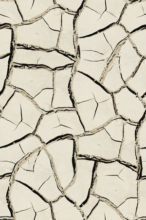 线条印花华亿平台图片