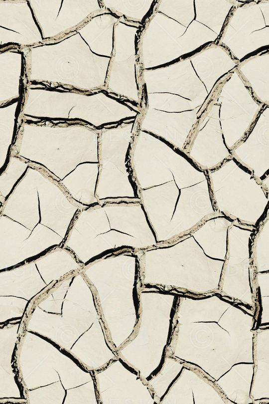 线条印花华亿平台图片