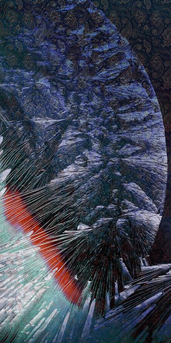 1444160-20215075024-1