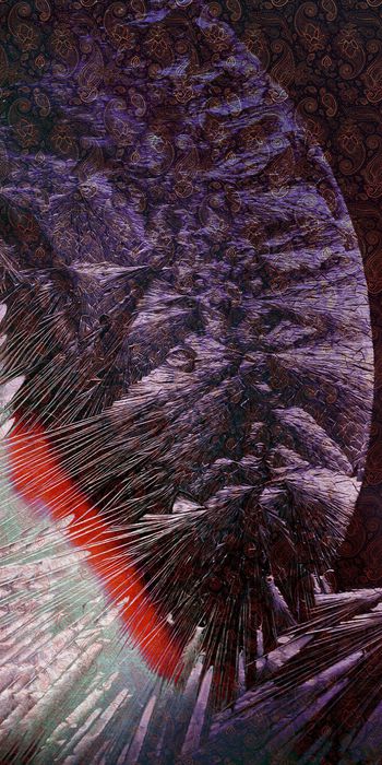 1444164-20215075024-2