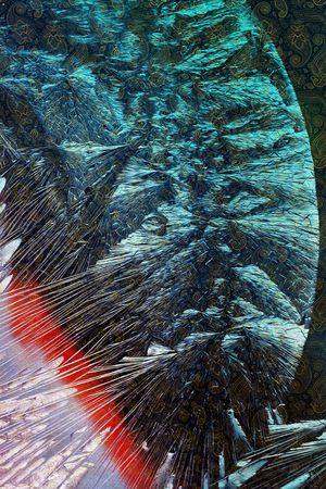 佩斯利印花华亿平台图片