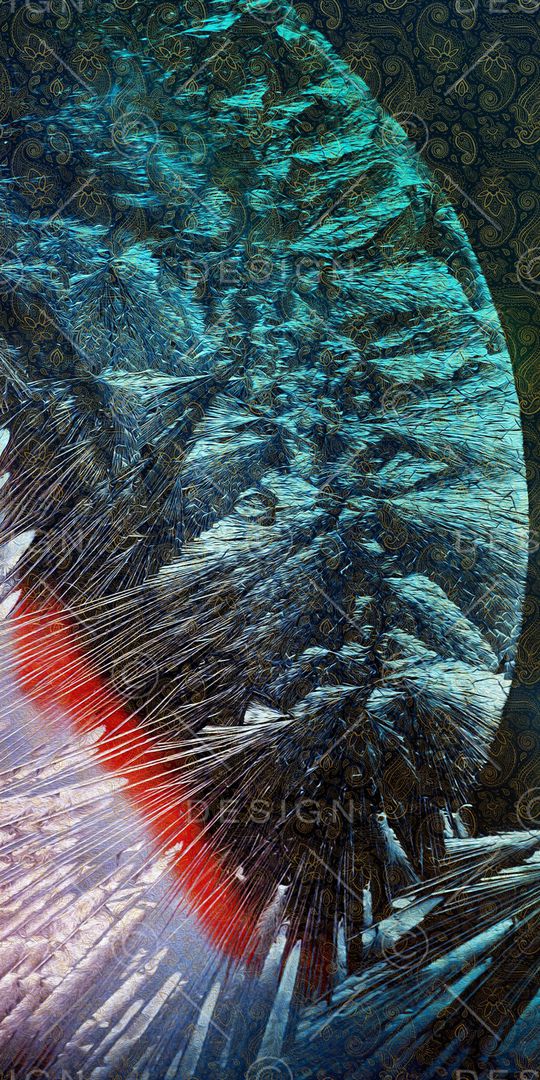 佩斯利印花华亿平台图片