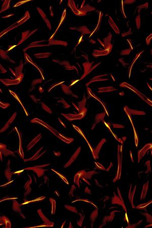 线条印花华亿平台图片