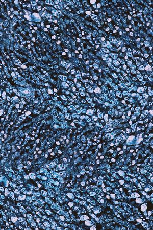 肌理印花华亿平台图片