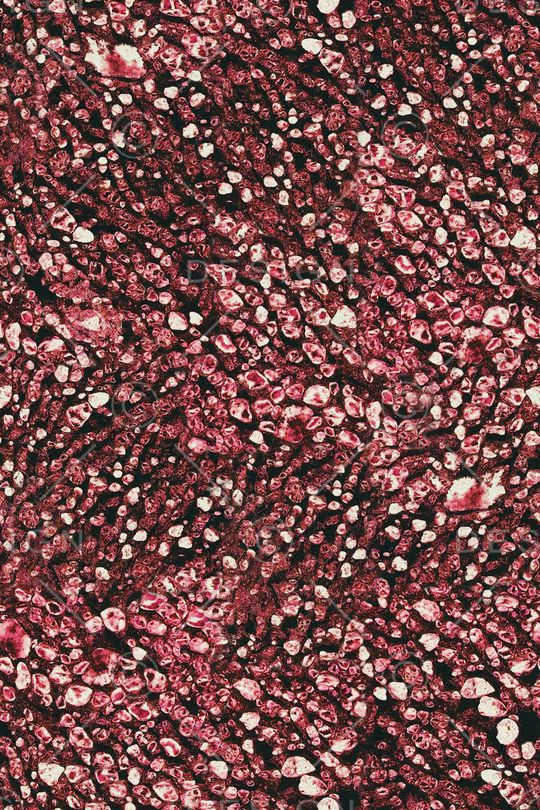 肌理印花华亿平台图片