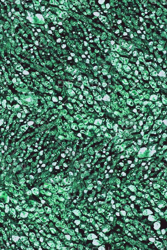 肌理印花华亿平台图片