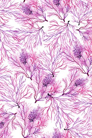 小清新印花华亿平台图片