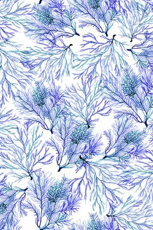 小清新印花华亿平台图片