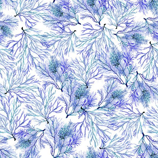 小清新印花华亿平台图片