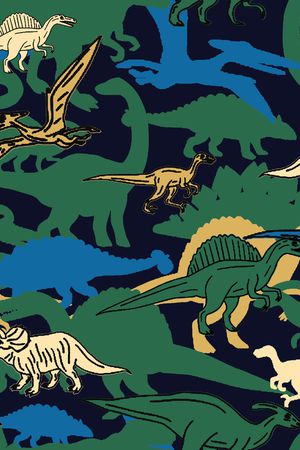 恐龙印花华亿平台图片