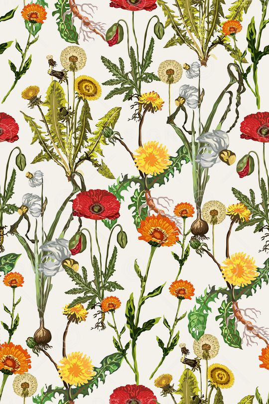 植物印花华亿平台图片