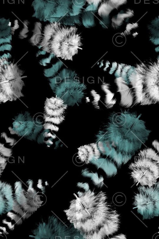 羽毛印花华亿平台图片