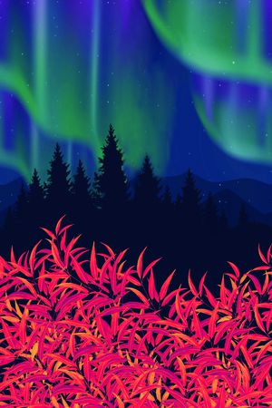 定位花印花华亿平台图片