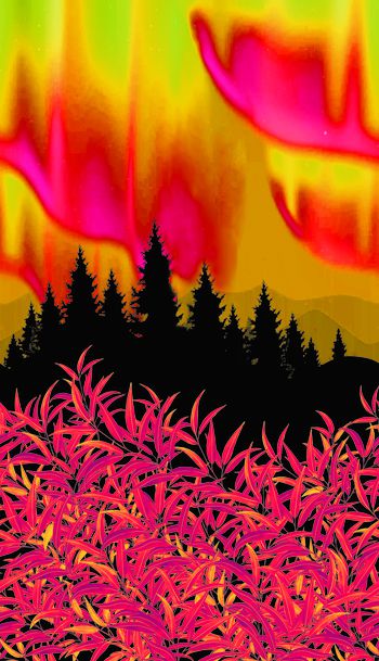 1445168-ST-20210809-0011