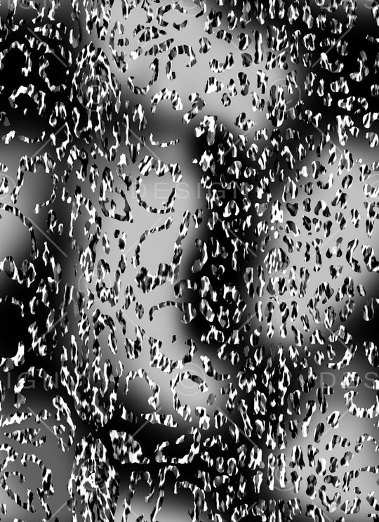 时尚印花华亿平台图片