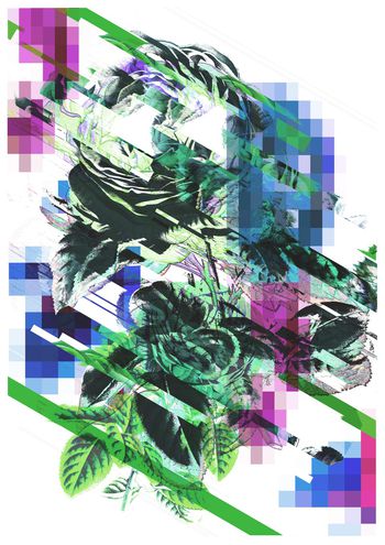 鲜花印花华亿平台图片