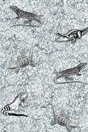 动物印花华亿平台图片