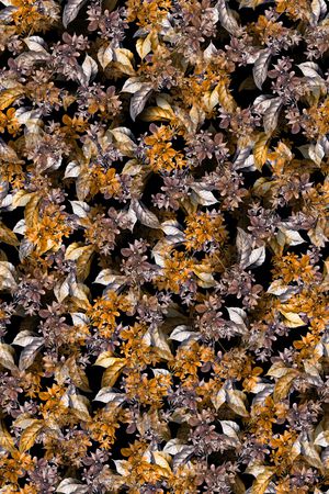 绿植树叶印花华亿平台图片