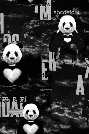 字母印花华亿平台图片