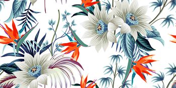 1446236-zhao-ttndh白