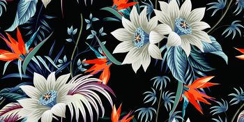 1446237-zhao-ttndh黑