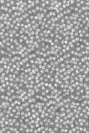 黑白条纹印花华亿平台图片